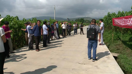 科技賦能 產業振興——2018年全省現代農業蠶桑產業技術體系現場觀摩會在鶴慶縣圓滿舉行