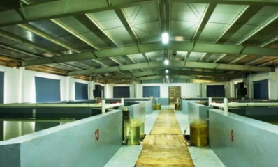 工業重鎮向“綠”轉型 順德三年行動計劃，以軟件開發賦能現代農業高地建設